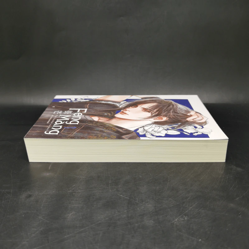 นิยายวาย Feng Mang เล่ม 1 - Chai ji dan รูปที่ 5