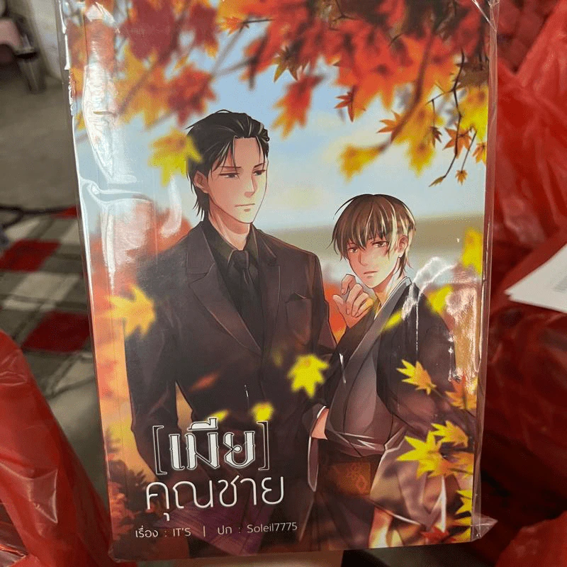 เมียคุณชาย - It's รูปที่ 1