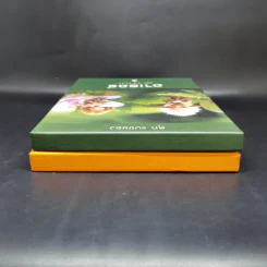 Boxset อาเธอร์ Arthur 4 เล่มจบ - ลุก แบซซอง รูปที่ 5