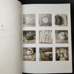 The Arrival - Shaun Tan รูปที่ 10