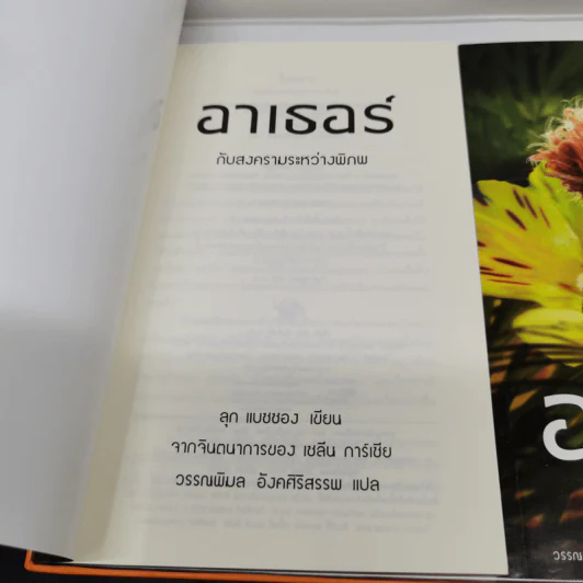 Boxset อาเธอร์ Arthur 4 เล่มจบ - ลุก แบซซอง รูปที่ 9