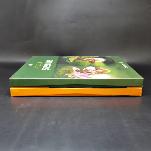 Boxset อาเธอร์ Arthur 4 เล่มจบ - ลุก แบซซอง รูปที่ 4