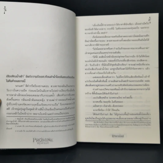 Promise พรายนครา - มายาโรส รูปที่ 9
