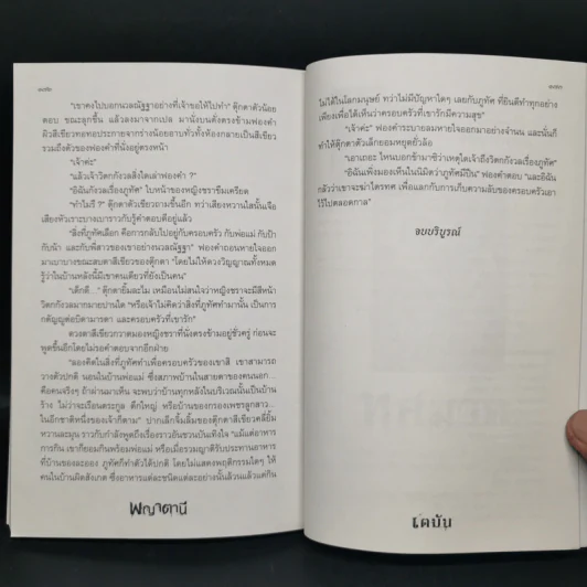 พญาตานี - เตมัน รูปที่ 10