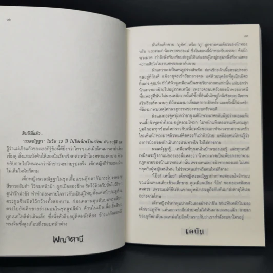 พญาตานี - เตมัน รูปที่ 9