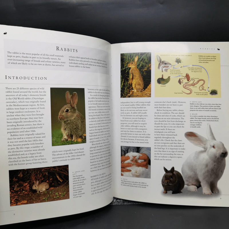 Caring for Your Small Pets - David Alderton รูปที่ 11
