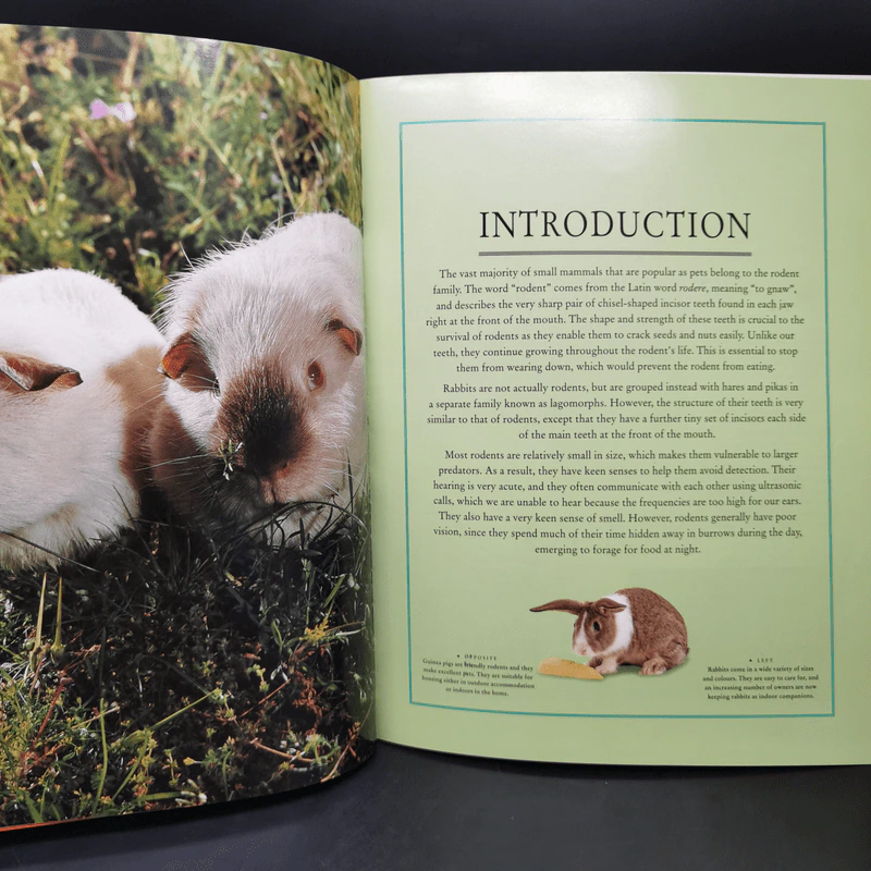 Caring for Your Small Pets - David Alderton รูปที่ 10