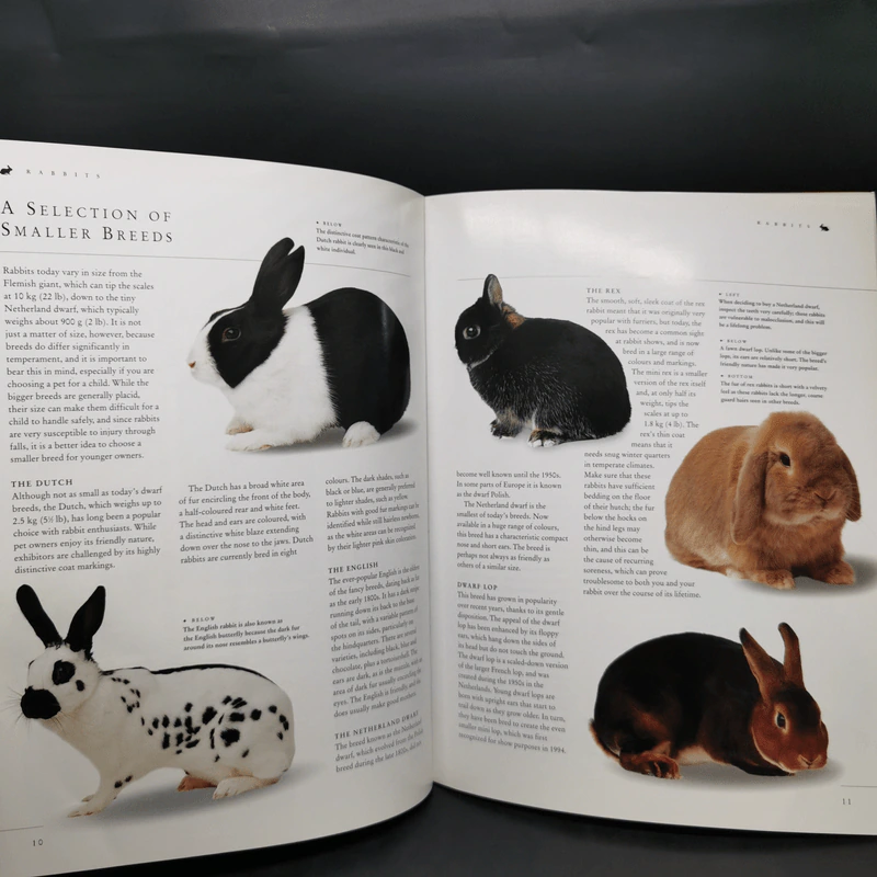 Caring for Your Small Pets - David Alderton รูปที่ 12