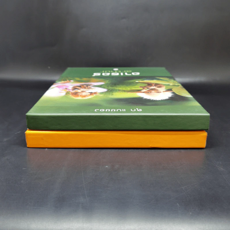 Boxset อาเธอร์ Arthur 4 เล่มจบ - ลุก แบซซอง รูปที่ 5
