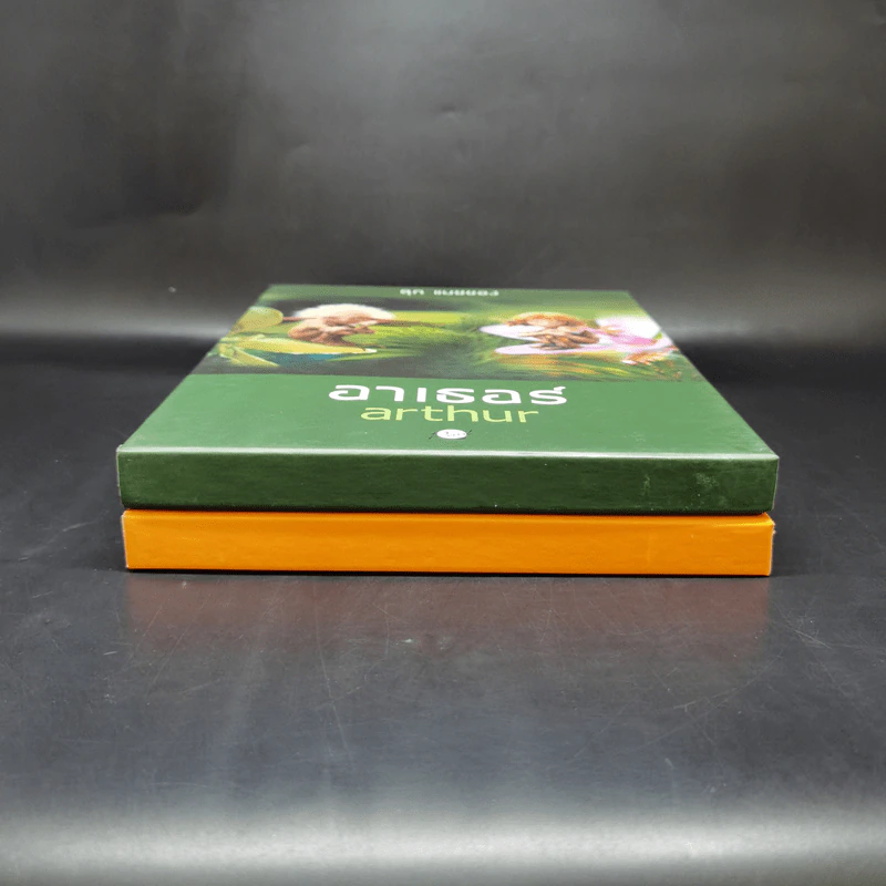 Boxset อาเธอร์ Arthur 4 เล่มจบ - ลุก แบซซอง รูปที่ 3