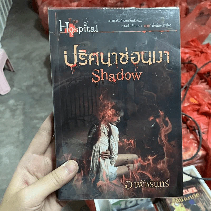 ปริศนาซ่อนเงา Shadow - อาพัชรินทร์ รูปที่ 1