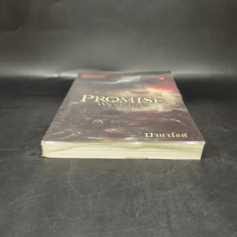 Promise พรายนครา - มายาโรส รูปที่ 4