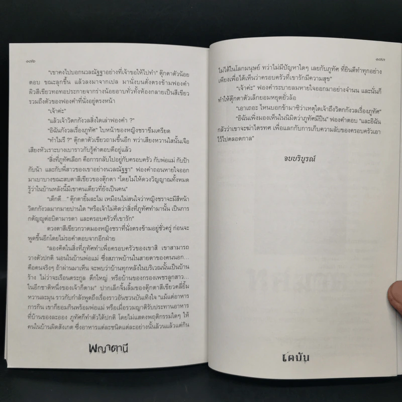 พญาตานี - เตมัน รูปที่ 10