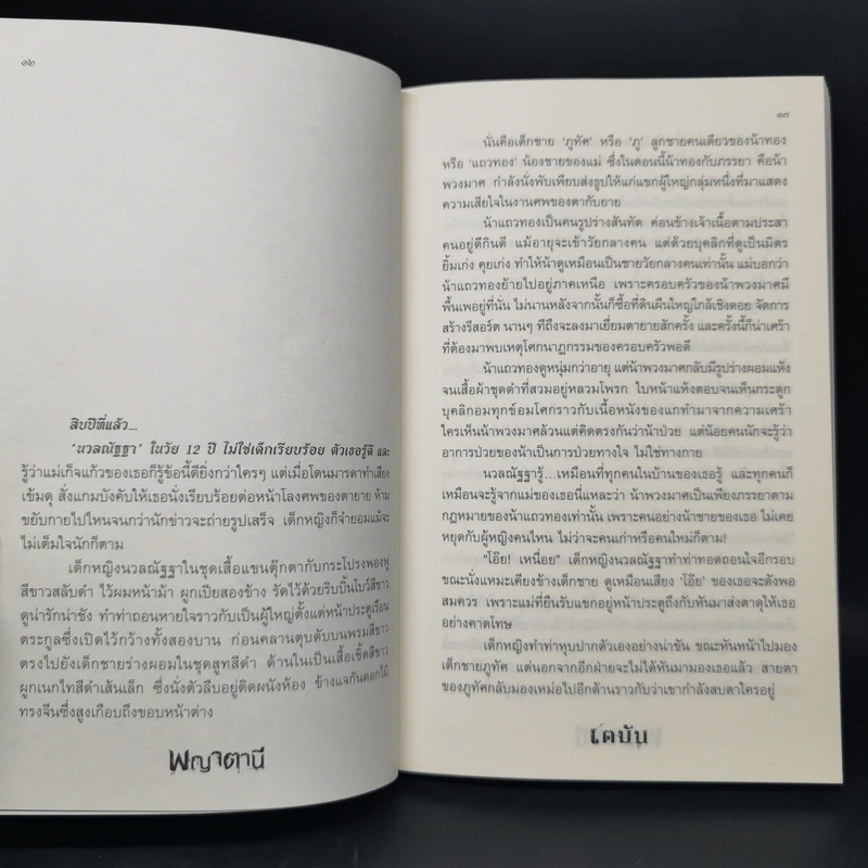 พญาตานี - เตมัน รูปที่ 9