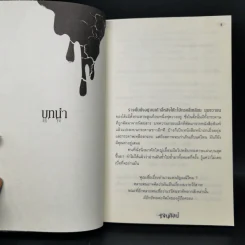 ทัณฑ์ทับทิม Ruby - เจนศิลป์ รูปที่ 9