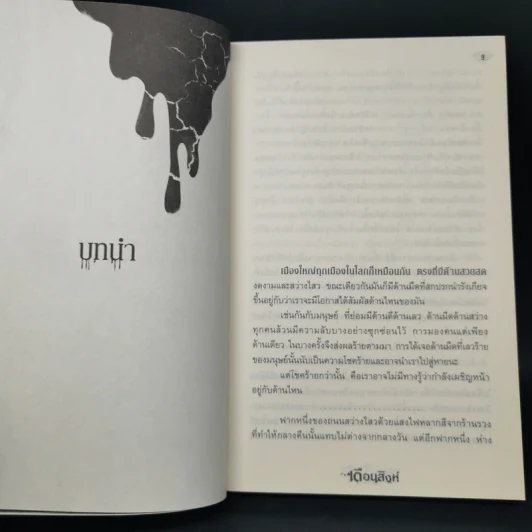 พรายอำพัน Amber - เดือนสิงห์ รูปที่ 9