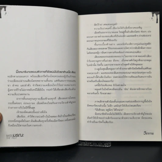 เพรงมรณะ The Past - วีราการ รูปที่ 9
