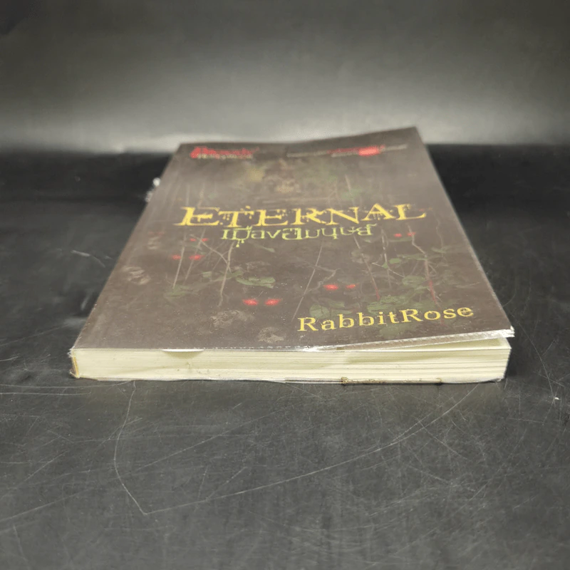 Eternal เมืองอมนุษย์ - RabbitRose รูปที่ 4