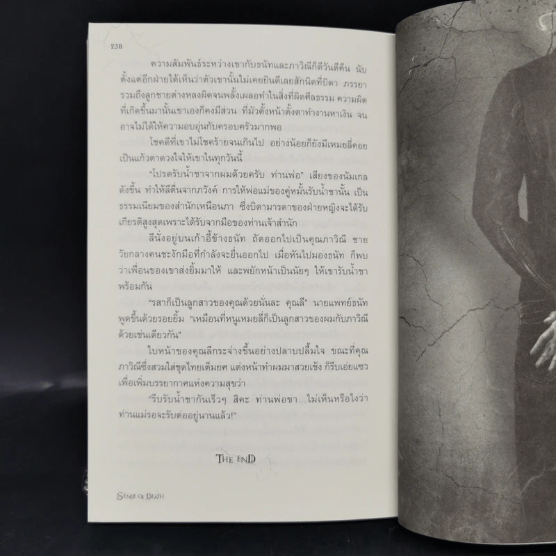 Vision เนตรมรณา - เตมัน รูปที่ 11