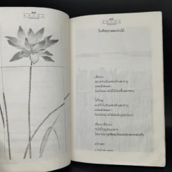 ดอกฝน - ละไมมาด คำฉวี รูปที่ 12