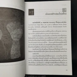 กูคือพระเจ้า - ฮ.นิกฮูกี้ รูปที่ 11