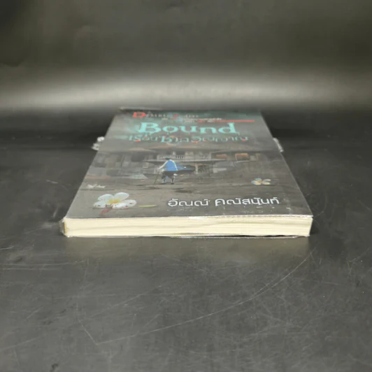 Bound เรือนซากวิญญาณ - อัณณ์ คณัสนันท์ รูปที่ 4