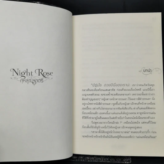 Night Rose กุหลาบราตรี - อาพัชรินทร์ รูปที่ 9