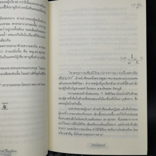 Cursed Sapphire มณีมนตรา - อาพัชรินทร์ รูปที่ 10