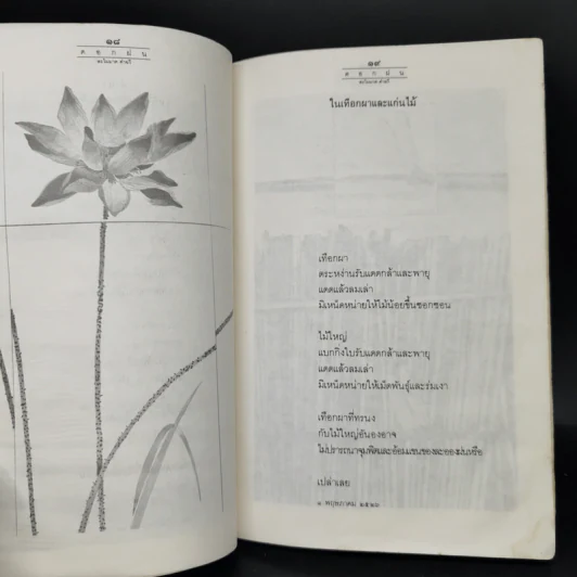 ดอกฝน - ละไมมาด คำฉวี รูปที่ 12