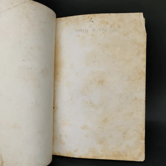 ดอกฝน - ละไมมาด คำฉวี รูปที่ 8