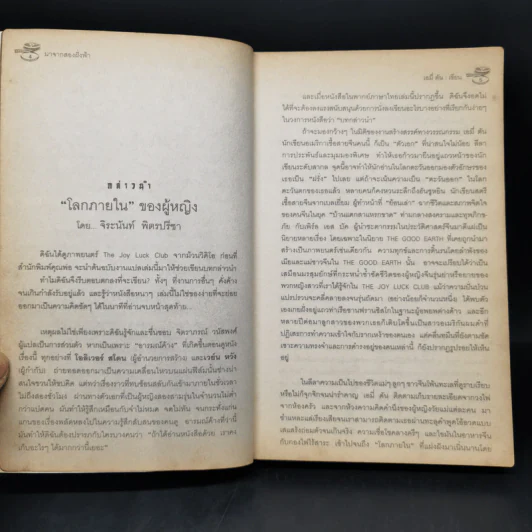 The Joy Luck Club มาจากสองฝั่งฟ้า - เอมี่ ตัน รูปที่ 8