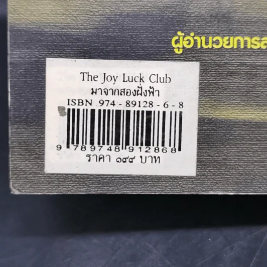 The Joy Luck Club มาจากสองฝั่งฟ้า - เอมี่ ตัน รูปที่ 12