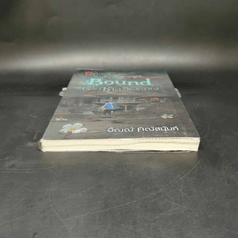 Bound เรือนซากวิญญาณ - อัณณ์ คณัสนันท์ รูปที่ 4