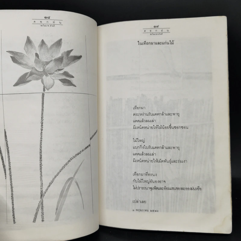 ดอกฝน - ละไมมาด คำฉวี รูปที่ 12