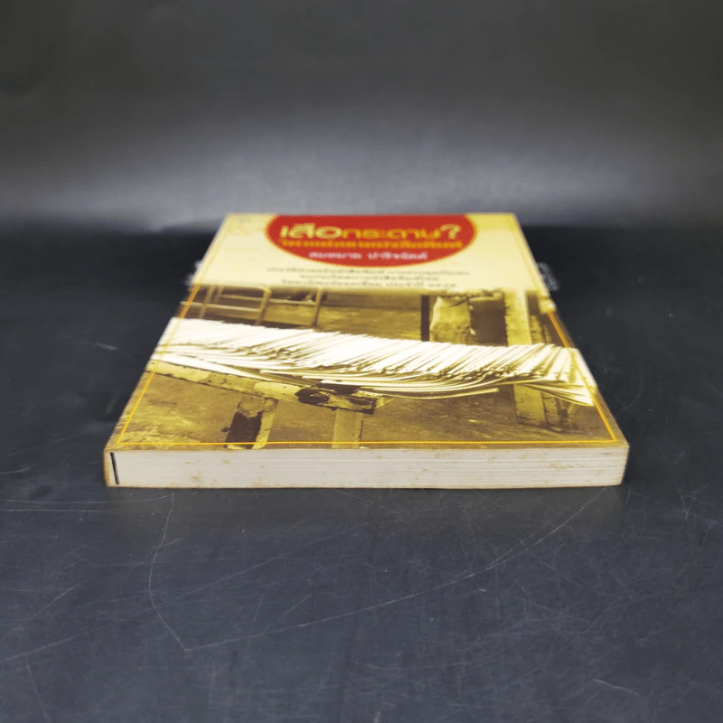 เสือกระดาษ? วิพากษ์สภาหนังสือพิมพ์ - สมหมาย ปาริจฉัตต์ รูปที่ 4