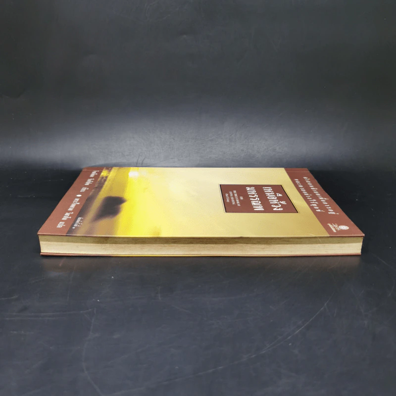 เหนือห้วงมหรรณพ จาก The Tibetan Book of Living and Dying - โซเกียล รินโปเช รูปที่ 5