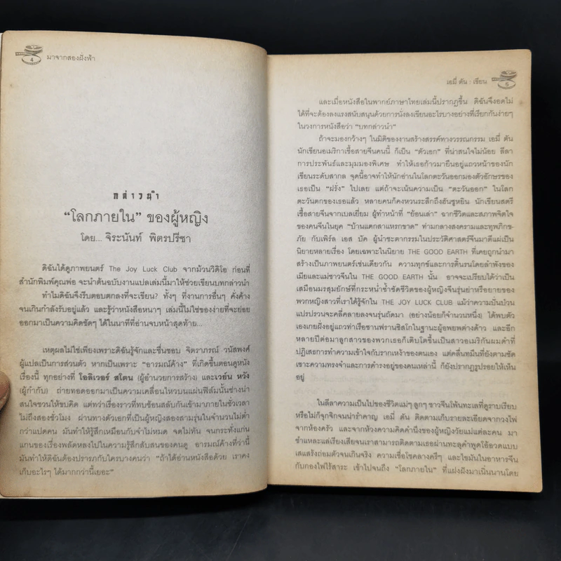 The Joy Luck Club มาจากสองฝั่งฟ้า - เอมี่ ตัน รูปที่ 8