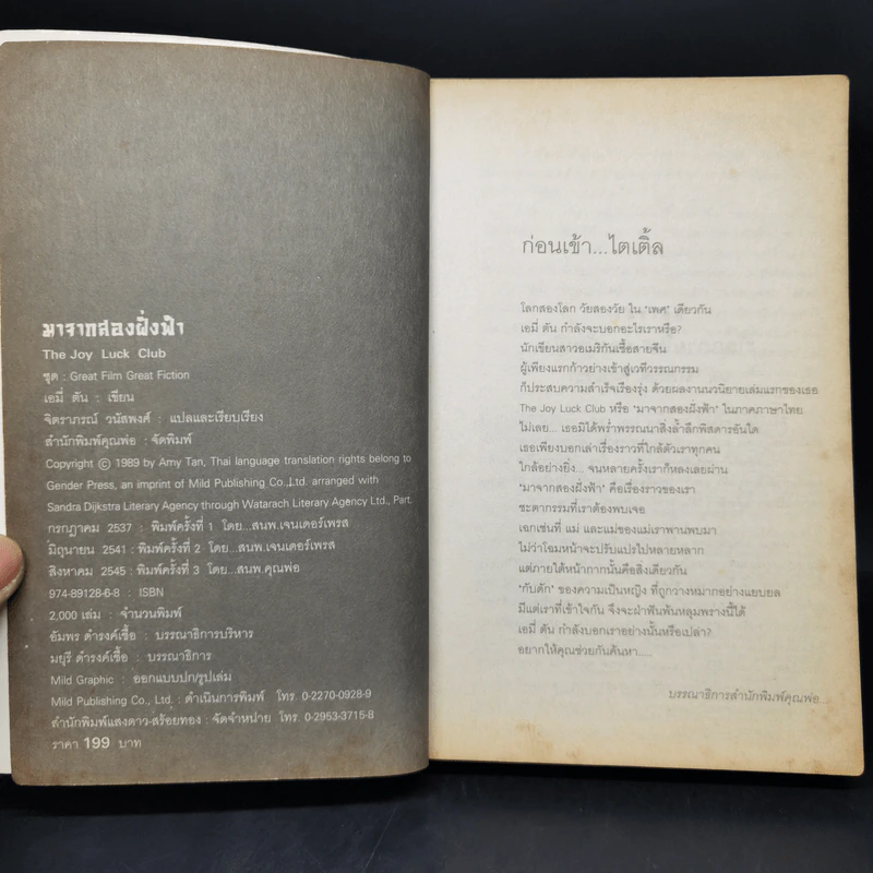 The Joy Luck Club มาจากสองฝั่งฟ้า - เอมี่ ตัน รูปที่ 7