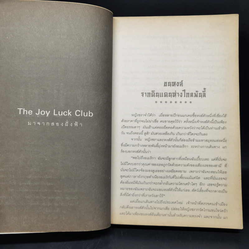 The Joy Luck Club มาจากสองฝั่งฟ้า - เอมี่ ตัน รูปที่ 10