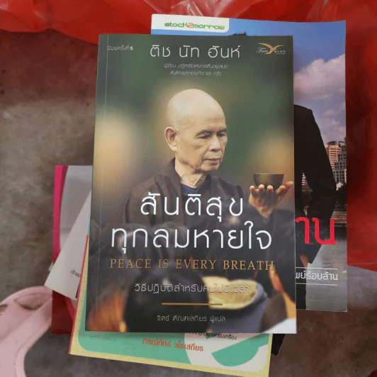 สันติสุขทุกลมหายใจ - ติช นัท ฮันห์ รูปที่ 1