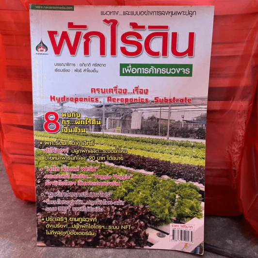 ผักไร้ดินเพื่อการค้าครบวงจร - พัชรี สำโรงเย็น รูปที่ 1