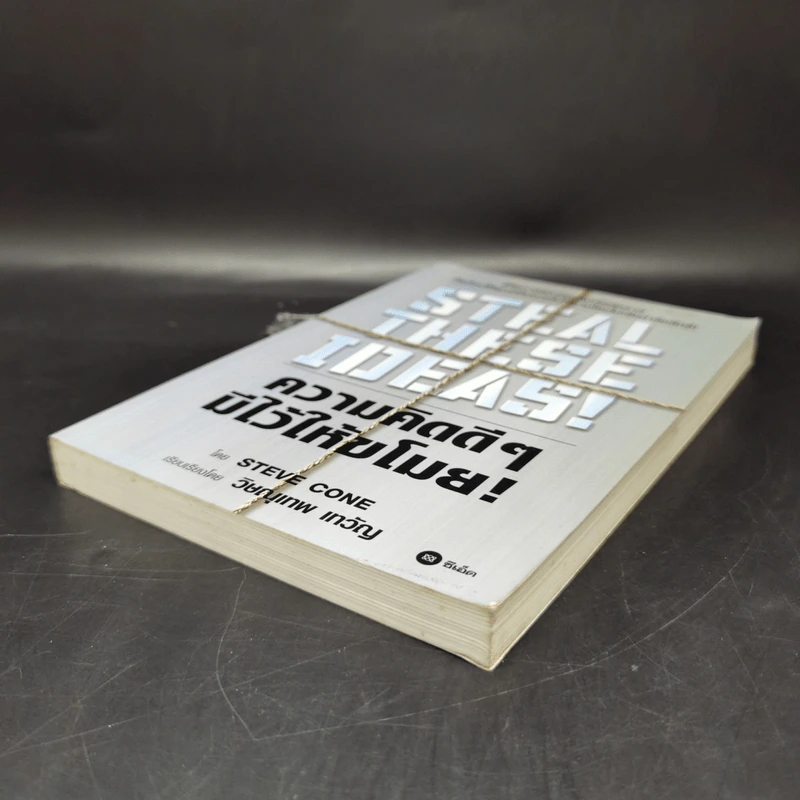Steal These Ideas! ความคิดดีๆมีไว้ให้ขโมย! - Steve Cone รูปที่ 7