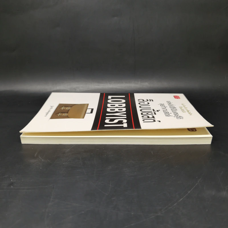 แค่หนึ่งปีก็เป็นเศรษฐีได้ ลุยทำงานสไตล์ล็อบบี้ยิสต์ Lobbyist - ฐิตารีย์ ประดิษฐพลการ รูปที่ 5