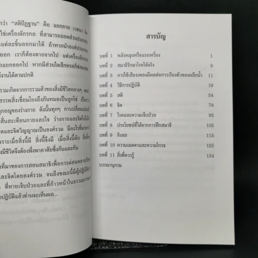 สมาธิเพื่อการผ่อนคลายรักษา สุขภาพกายและจิต โดยองค์รวม รูปที่ 10