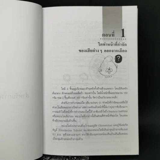 การดูแลผู้ป่วยโรคไต และความรู้ทางโภชนาการสำหรับผู้ป่วยโรคไต - พนิดา กุลประสูติดิลก รูปที่ 11