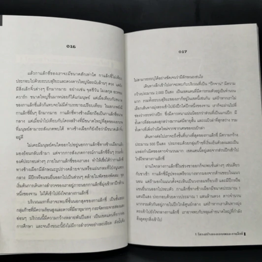 เอกภพ สรรพสิ่ง และมนุษยชาติ - รอฮีม ปรามาท รูปที่ 9