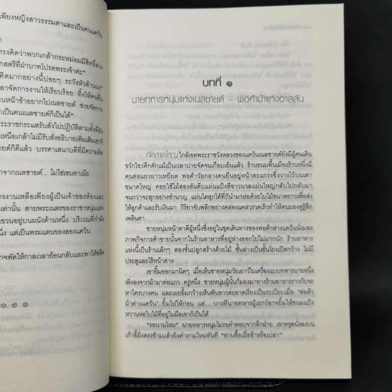 ดวงดาวหัวใจโจร - โรซาน่า รูปที่ 10