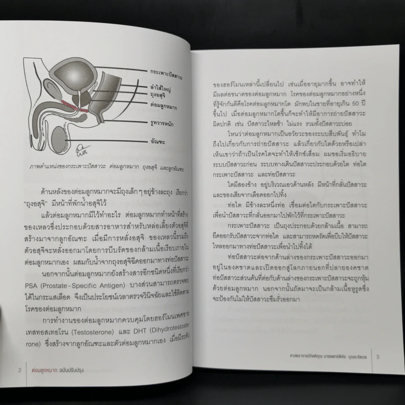 ต่อมลูกหมาก คู่มือซ่อมบำรุงต่อมลูกหมากที่ผู้ชายทุกคนต้องรู้ รูปที่ 15