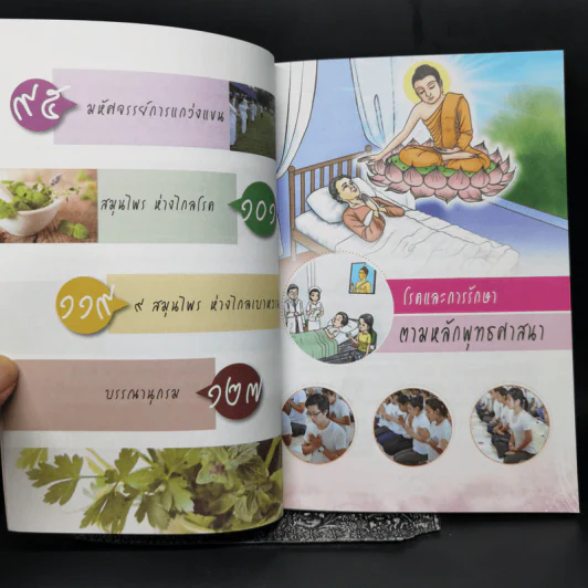 ไร้โรคา อายุยืนหมื่นปี - ศักดิ์สิทธิ์ พันธุ์สัตย์,กฤษดา รามัญศรี รูปที่ 10