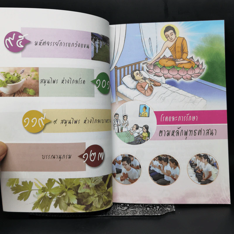 ไร้โรคา อายุยืนหมื่นปี - ศักดิ์สิทธิ์ พันธุ์สัตย์,กฤษดา รามัญศรี รูปที่ 10